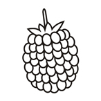 Raspberry - Easy coloring fruits
