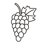 Grape - Easy coloring fruits