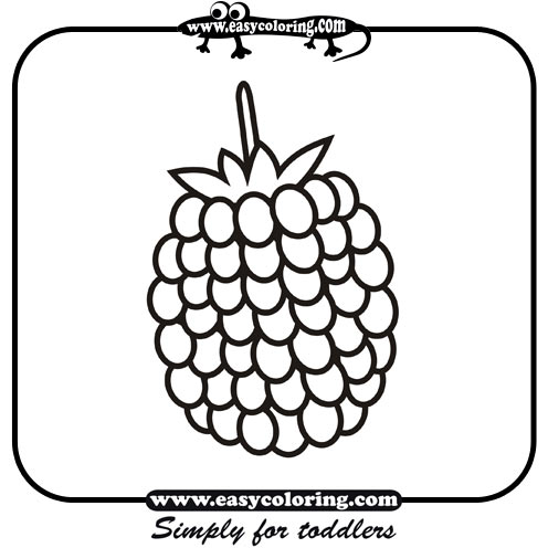 Raspberry - Easy coloring fruits