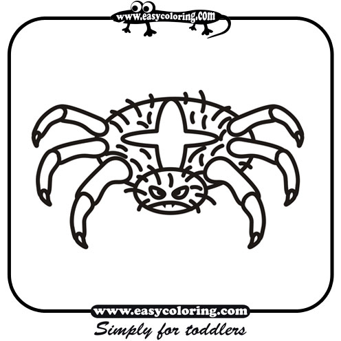 Halloween spider two