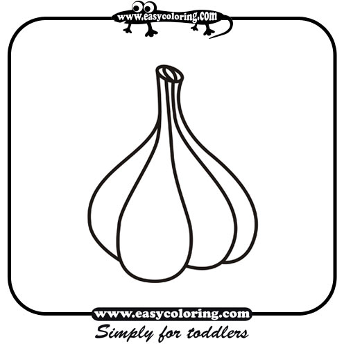 Garlic - Easy coloring vegetables