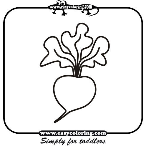 Radish - Easy coloring vegetables